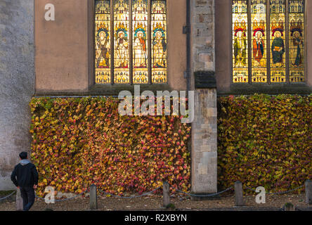 Trinity College chapelle façade aux couleurs de l'automne. L'Université de Cambridge, Angleterre. UK Banque D'Images