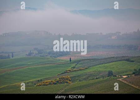 Paysage de Toscane dans le brouillard. Matin brouillard sur les collines de Montepulciano, Toscane, Italie Banque D'Images