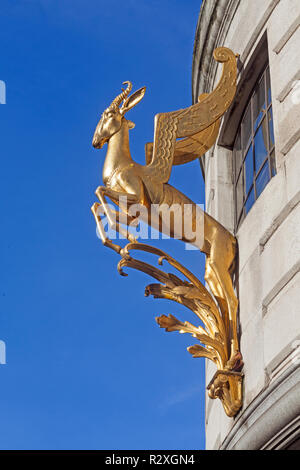 Londres, Westminster. L'emblème springbok doré sur l'Afrique du Sud, chambre à Trafalgar Square. Banque D'Images