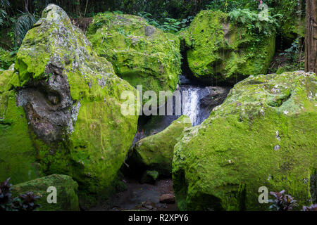 La Colombie, Darien jungle sauvage de la mer des Caraïbes près de Capurgana resort et le Panama frontière. L'Amérique centrale. Cascade dans la jungle Banque D'Images