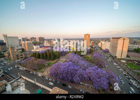 Harare, la capitalo du Zimbabwe, vu dans la saison de Jacaranda Banque D'Images