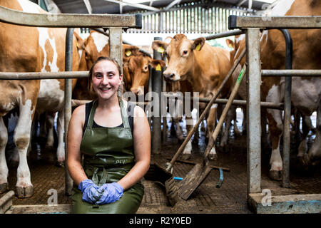 Young woman wearing apron debout dans un hangar avec la traite des vaches de Guernesey. Banque D'Images