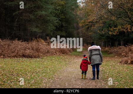 Mère et fils marche à travers les bois en automne wellies Banque D'Images
