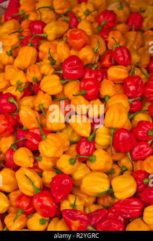 Poivrons de couleurs jaune et rouge qui couvrent l'ensemble de l'image, utile pour l'utilisation d'arrière-plan dans certaines conceptions liées à l'alimentation ou la santé Banque D'Images