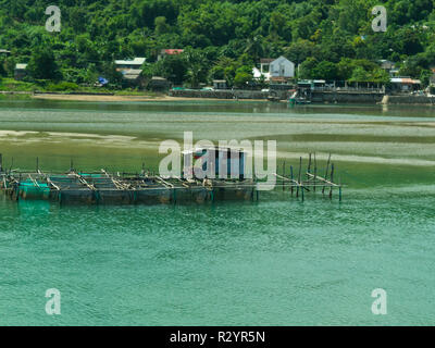 Les filets de pêche suspendus à treillis en bois dans la région de Lang Co village lagoon Sud Vietnam tour entre une lagune et la mer de Chine du Sud célèbre pour les fruits de productio Banque D'Images