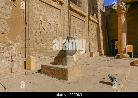 Falcon granit figure du dieu Horus au Temple d'Edfou, un temple égyptien sur la rive ouest du Nil à Edfu, Haute Egypte, l'Afrique du Nord Banque D'Images