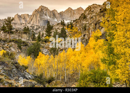 Photo et trembles pointe à l'automne feuillage en évolution dans le bassin du lac Sabrina Région, John Muir Wilderness, Sierra Nevada, Californie, USA Banque D'Images