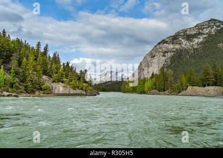 BANFF, ALBERTA, CANADA - Juin 2018 : Paysage de la rivière Bow, qui s'écoule à travers Banff. Banque D'Images