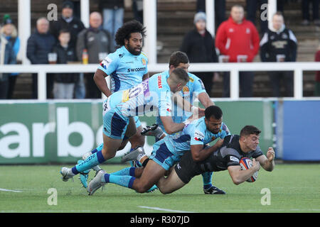 NEWCASTLE upon Tyne. 28 octobre 2018 Adam Radwan de Newcastle Falcons est abordé par Harvey Skinner et Tom O'Flaherty au cours de la Premiership Cup match entre Newcastle Falcons et Exeter Chiefs à Kingston Park, Newcastle upon Tyne Le dimanche 28 octobre 2018. ©MI News & Sport Ltd | Alamy Live News Banque D'Images