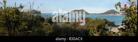 Panorama avec cacatoès Rosalbin et orange tree : Shoal Bay et Tomaree Head, Tomaree National Park, Port Stephens, New South Wales, Australie Banque D'Images