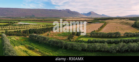 Les terres agricoles, Fljotsdalur vallée, l'Est, de l'Islande. Cette image est tourné à l'aide d'un drone. Banque D'Images