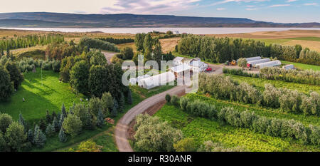 Les terres agricoles, Fljotsdalur vallée, l'Est, de l'Islande. Cette image est tourné à l'aide d'un drone. Banque D'Images