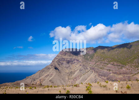 Gran Canaria, vue vers Faneque, le plus haut de la falaise de l'Europe, salon avec nouvellement plantées de pins des Canaries à l'avant-plan Banque D'Images