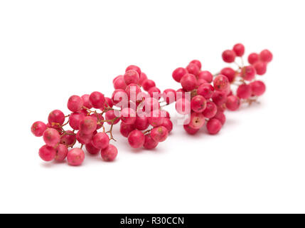 Grappe de poivre rose, fruit de l'arbre au poivre péruvien de Schinus molle Banque D'Images