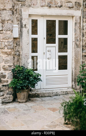 Porte ou entrée d'une maison d'habitation à décoré avec des plantes. Banque D'Images