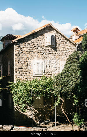 Porte ou entrée d'une maison d'habitation à décoré avec des plantes. Les fenêtres fermées sur les volets. Banque D'Images