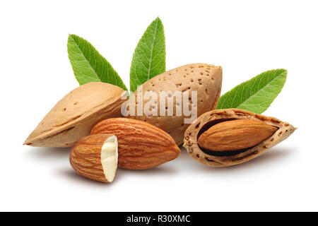 Amandes avec des feuilles isolées sur fond blanc Banque D'Images