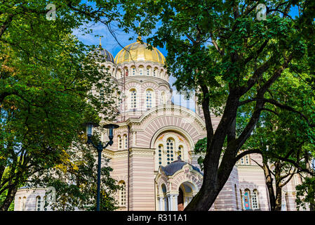 Les dômes dorés de la Nativité du Christ Cathédrale entre les arbres. Riga, Lettonie, Pays Baltes, Europe. Banque D'Images