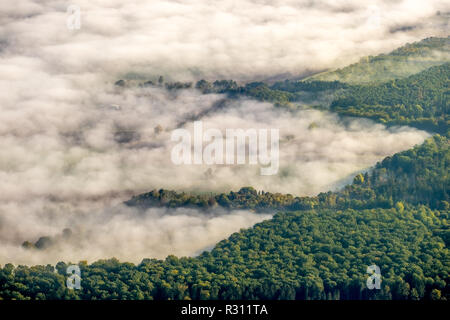 Vue aérienne, brouillard sur whale espace à côté de Dassel, district de Goslar, Basse-Saxe, Allemagne, Europe, Dassel, district de Goslar, DEU, oiseaux-lunettes voir l'antenne, Banque D'Images