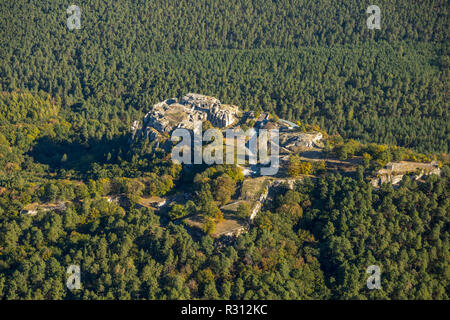 Luftbild Regenstein, Château et forteresse, suis Platenberg, Blankenburg (Harz), Blankenburg, Paderborn, Saxe-Anhalt, Allemagne, Europe, , DEU, Europe, bi Banque D'Images