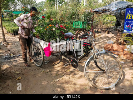 Chandigarh, Punjab, en Inde. 20 Nov, 2018. Un vendeur vu la vente de fleurs sur son vélo panier à Chandigarh.Chandigarh est une ville et un territoire de l'union de l'Inde qui est la capitale des deux États voisins de l'Haryana et du Pendjab. Chandigarh est bordé par l'État du Pendjab au nord, à l'ouest et le sud, et à l'État de Haryana à l'Est. La population de Chandigarh en l'année 2018 selon les données estimées est 1 230 763. Credit : Saqib Majeed/SOPA Images/ZUMA/Alamy Fil Live News Banque D'Images
