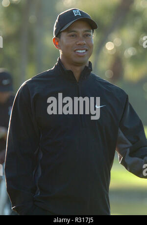 DORAL, Floride - 20 novembre : (DOSSIER PHOTOS) l'attente est enfin terminée. Capital One's Le Match seront dotés de la toute première, tête-à-tête 14 duel entre-temps, grand promoteur de Tiger Woods et cinq fois Champion majeur Phil Mickelson. Les enjeux sont élevés, avec Tiger et Phil en lice pour le gagnant-prendre-tous les $9 millions de prix, le vendredi après Thanksgiving, à l'exclusive Shadow Creek Golf Course à Las Vegas Personnes : Tiger Woods Banque D'Images