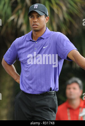 DORAL, Floride - 20 novembre : (DOSSIER PHOTOS) l'attente est enfin terminée. Capital One's Le Match seront dotés de la toute première, tête-à-tête 14 duel entre-temps, grand promoteur de Tiger Woods et cinq fois Champion majeur Phil Mickelson. Les enjeux sont élevés, avec Tiger et Phil en lice pour le gagnant-prendre-tous les $9 millions de prix, le vendredi après Thanksgiving, à l'exclusive Shadow Creek Golf Course à Las Vegas Personnes : Tiger Woods Banque D'Images