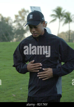 DORAL, Floride - 20 novembre : (DOSSIER PHOTOS) l'attente est enfin terminée. Capital One's Le Match seront dotés de la toute première, tête-à-tête 14 duel entre-temps, grand promoteur de Tiger Woods et cinq fois Champion majeur Phil Mickelson. Les enjeux sont élevés, avec Tiger et Phil en lice pour le gagnant-prendre-tous les $9 millions de prix, le vendredi après Thanksgiving, à l'exclusive Shadow Creek Golf Course à Las Vegas Personnes : Tiger Woods Banque D'Images