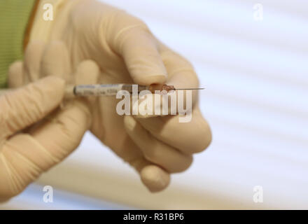 ILLUSTRATION - 21 novembre 2018, la Bavière, Würzburg : un assistant du médecin tient une seringue avec la quadruple le vaccin contre la grippe Influvac Tetra (illustration sur le thème de la vaccination antigrippale) dans un cabinet de médecin. Photo : Karl-Josef Opim/dpa Banque D'Images