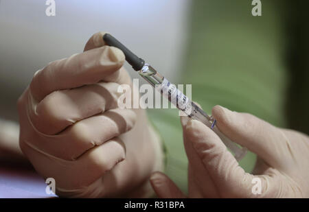 ILLUSTRATION - 21 novembre 2018, la Bavière, Würzburg : un assistant du médecin tient une seringue avec la quadruple le vaccin contre la grippe Influvac Tetra (illustration sur le thème de la vaccination antigrippale) dans un cabinet de médecin. Photo : Karl-Josef Opim/dpa Banque D'Images