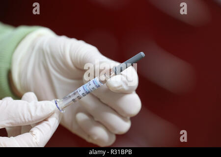 ILLUSTRATION - 21 novembre 2018, la Bavière, Würzburg : un assistant du médecin tient une seringue avec la quadruple le vaccin contre la grippe Influvac Tetra (illustration sur le thème de la vaccination antigrippale) dans un cabinet de médecin. Photo : Karl-Josef Opim/dpa Banque D'Images