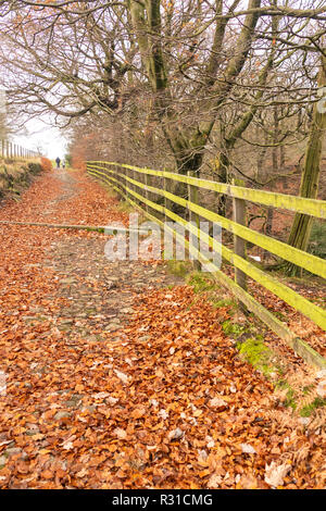 Rivington, près de Chorley Lancashire. UK, 21 novembre 2018. Météo nouvelles. Le froid n'a pas mettre les gens à profiter des magnifiques couleurs automnales autour de Rivington pike aujourd'hui. Crédit : Gary telford/Alamy Live News Banque D'Images