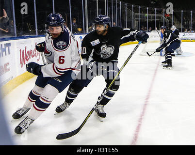 Caroline du Sud des raies sur Tim Davison (6) et Jacksonville joueur Icemen Dajon Mingo (10) au cours de la troisième période d'un match de hockey professionnel ECHL au Veterans Memorial Arena à Jacksonville, en Floride, le Mardi, Novembre 20, 2018. (Gary Lloyd McCullough/ Cal Sport Media) Banque D'Images