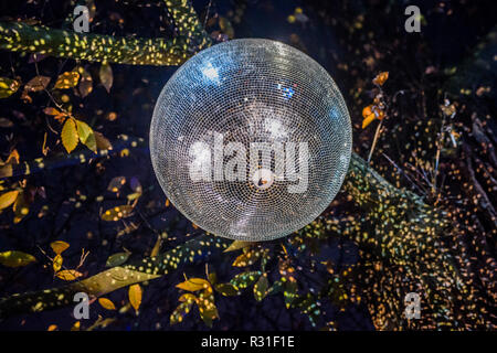 Kew Gardens, London, UK. 21 Nov 2018. Kew à Noël, Kew Gardens - Anl allumé parcours dans l'après-Kew paysage sombre, éclairée de plus d'un million de lumières scintillantes. Crédit : Guy Bell/Alamy Live News Banque D'Images