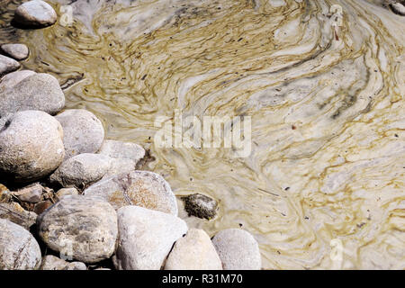 L'eau stagnante, marbré dans un beau ruisseau. Banque D'Images