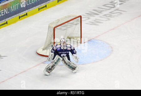 BERLIN, ALLEMAGNE - 22 septembre 2017 : gardien Petri Vehanen de Eisbaren Berlin en action au cours de la Deutsche Eishockey Liga (DEL) match contre Koln Banque D'Images