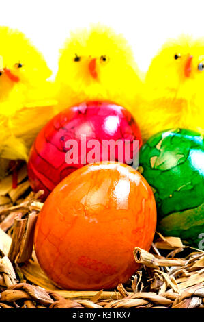 Panier de Pâques avec des oeufs colorés et des poulets Banque D'Images