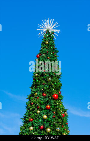 Grand arbre de Noël en plein air grand Festival Park, Castle Rock Colorado nous. Photo prise en novembre. Banque D'Images