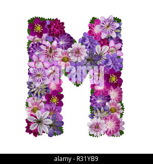 Lettre E Alphabet Floral Sur Fond Blanc Belle Collection De Polices De