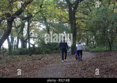 Passer du temps ensemble en famille sur une journée d'automne dans une forêt britannique Banque D'Images