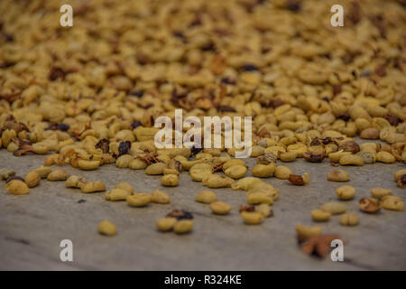 Le séchage des grains de café dans le soleil avant de rôtir Banque D'Images