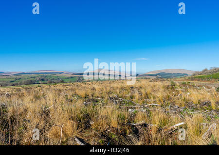 Paysage gallois sur une journée ensoleillée près de Ystradfellte dans le parc national de Brecon Beacons, Powys, Wales, UK Banque D'Images