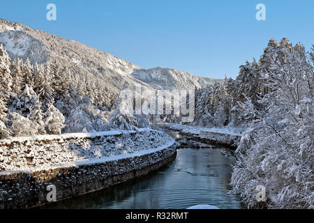 En hiver nature park dobratsch Banque D'Images