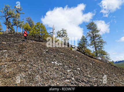 Femme 42 835,02052 Randonnées Randonnées à mi-hauteur de la pente raide de cône de cendres noires avec des arbres de pin ponderosa (Pinus ponderosa), ciel bleu nuages blancs Banque D'Images