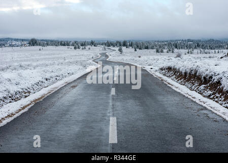 Route asphaltée d'hiver dans la forêt couverte de neige Banque D'Images