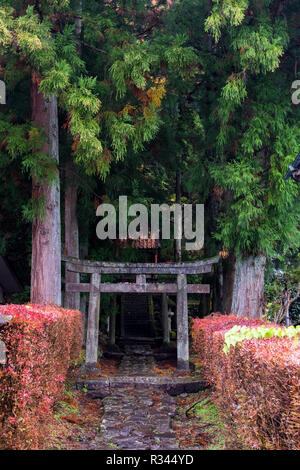 Le Seiryu culte à Nikko, Japon. Bois porte japonais au premier plan. Banque D'Images