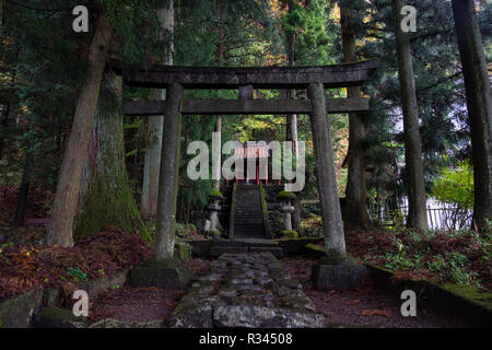 Le Seiryu culte à Nikko, Japon. Bois porte japonais au premier plan. Banque D'Images