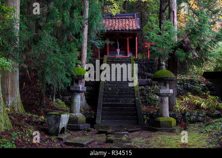 Le Seiryu culte à Nikko, Japon. Un escalier de pierre couvert de mousse menant au sanctuaire. Banque D'Images