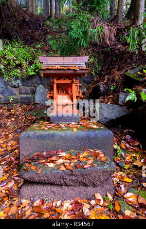 Le Seiryu culte à Nikko, Japon. À droite du temple principal, un mini pagode rouge. Banque D'Images