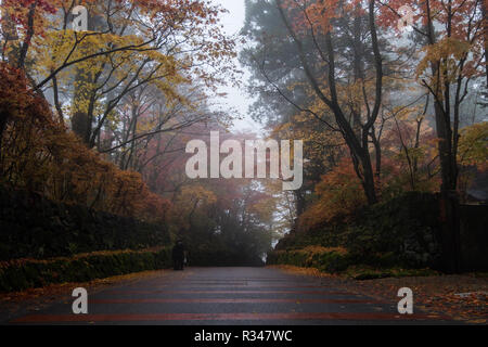 Une petite rue de Nikko Japon avec plein de couleurs de l'automne et en tournant les feuilles sur un jour brumeux, Misty. Banque D'Images